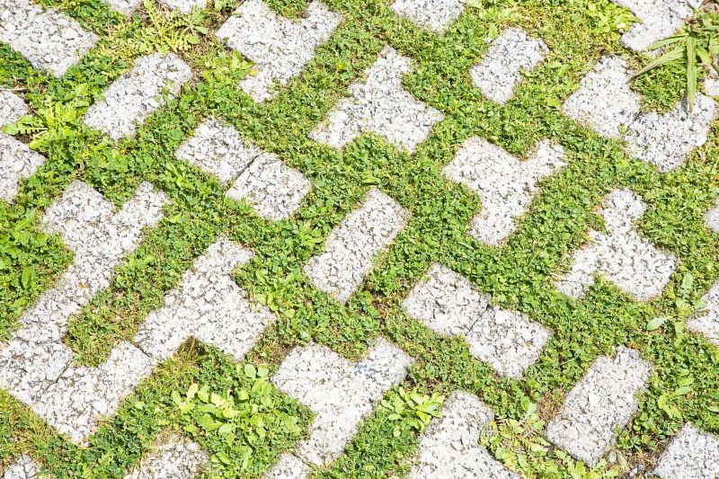 Paver Flooring Installation in Sacramento, CA